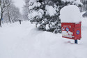 Śnieg paraliżuje Zakopane