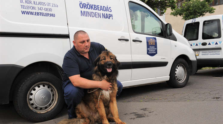 Csikós Róbert, a FÖRI állategészségügyi szolgálatának csoportvezetője