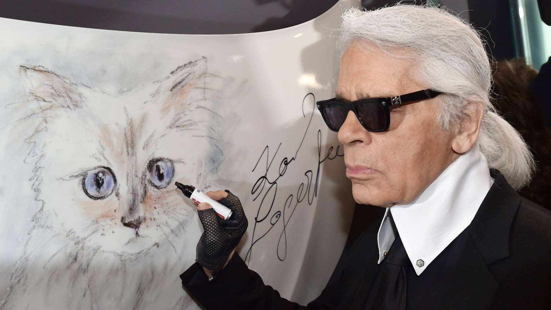 Mačka Karla Lagerfelda je upravo lansirala svoju prvu kolekciju