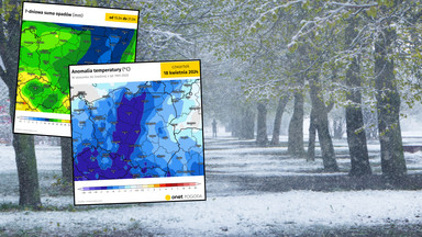 Arktyczny podmuch sunie do Polski. Przed nami nocne mrozy, a nawet śnieg