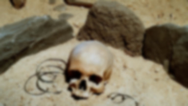 Stambuł: ludzkie szczątki z 6500 r. p.n.e.