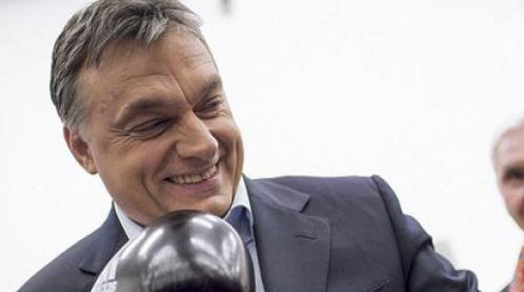 Orbán Viktor bokszkesztyűt húzott