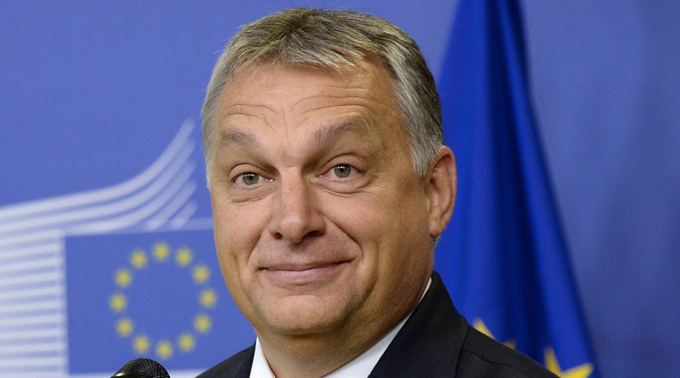 Orbán Viktor gratulált az aranyérmes vízilabda-válogatottnak /Fotó: AFP
