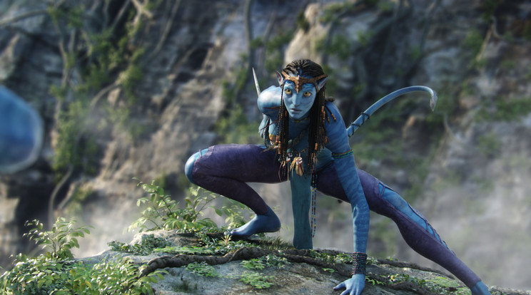 Később jön az Avatar folytatása a mozikba /Fotó: Northfoto