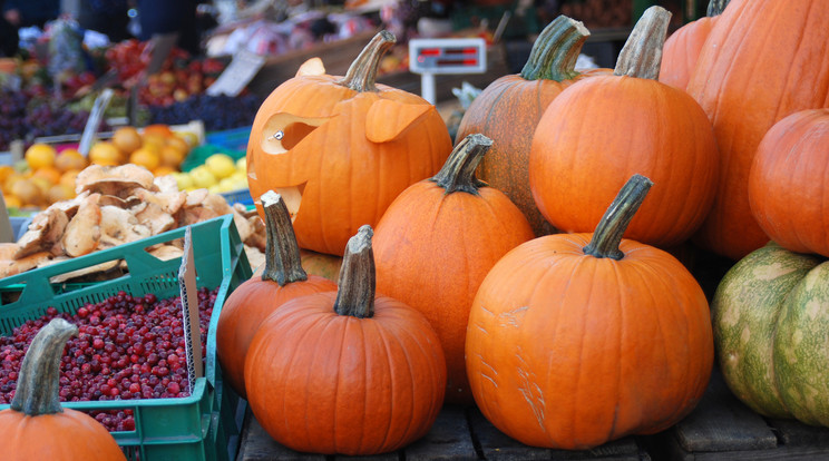 A halloweeni és a sütőtök közti különbségre hívja fel a figyelmet a NAK /Illusztráció: Northfoto