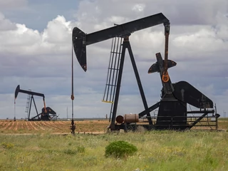 Analitycy trzymają się wersji, w której 2 mln baryłek niedoboru ropy z rosyjskiego źródła do pewnego stopnia zrównoważy wzrost produkcji krajów OPEC — w tym względzie największe możliwości poza Arabią Saudyjską mają Zjednoczone Emiraty Arabskie — oraz powrót na rynek paliwa z Iranu