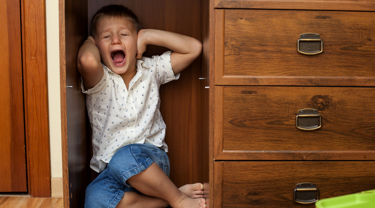 Meztelenül zárta szekrnybe 5 éves kisfiát egy bradfordi édesanya / Fotó: Shutterstock