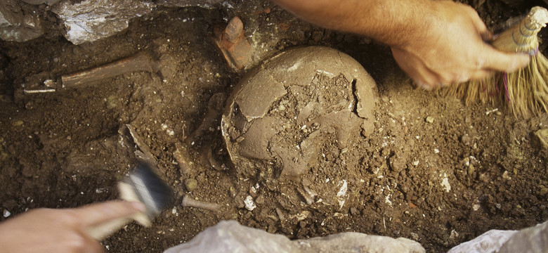 Ślady średniowiecznej posiadłości odkryte przez gliwickich archeologów