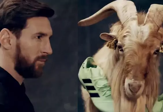 Leo Messi i kozy. Napastnik bryluje w świetnej sesji zdjęciowej