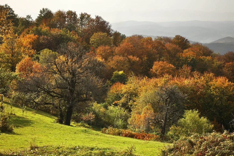 Radan planina 