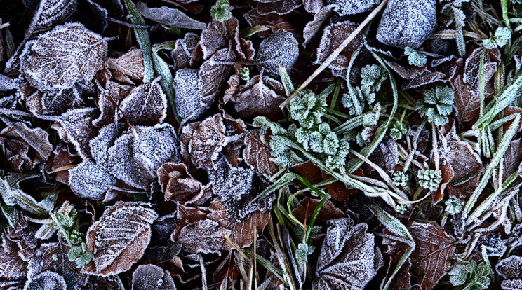 Jönnek a talajmenti fagyok / Illusztráció: Northfoto