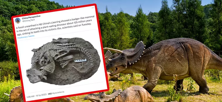 Ssaki polowały na dinozaury. Odkrycie w Chinach nie zostawia złudzeń
