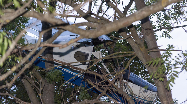 Kisrepülőgép, amely felszállás közben fennakadt egy fán Zirc-Tündérmajor határában /Fotó:
MTI - Krizsán Csaba
