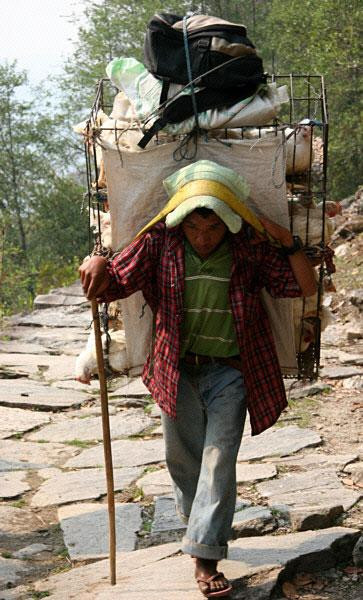 Galeria Nepal - trekking do  Południowego Sanktuarium  Annapurny, obrazek 37