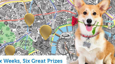 Londyn: zwiedzaj miasto z psem Rufusem i wygraj wycieczkę