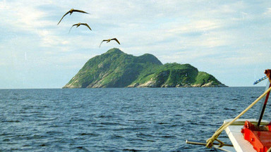 Wyspa Węży w Brazylii (Ilha da Queimada Grande)