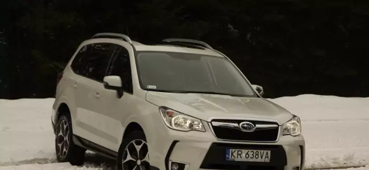 Nowe Subaru Forester IV: do terenu i na drogę. Test i opinie