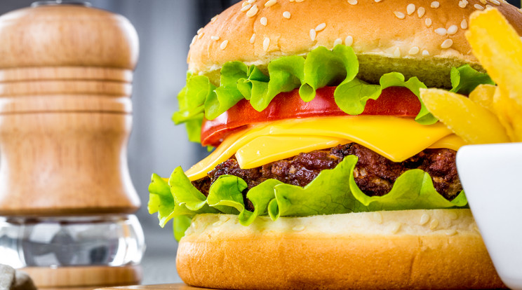 Senki nem szereti hidegen a sajtburgert - valaki ezért a jogosítványát is kockáztatta /Illusztráció: Northfoto