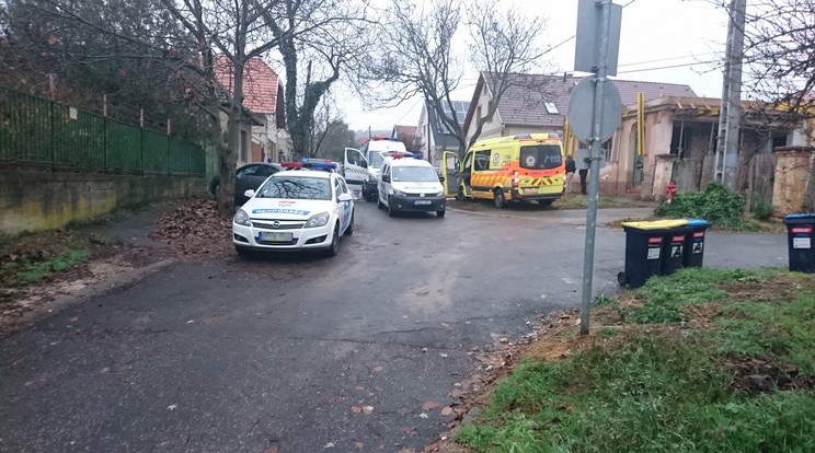 A békásmegyeri csendes utcát több tucat 
rendőr árasztotta el / Fotó: Blikk