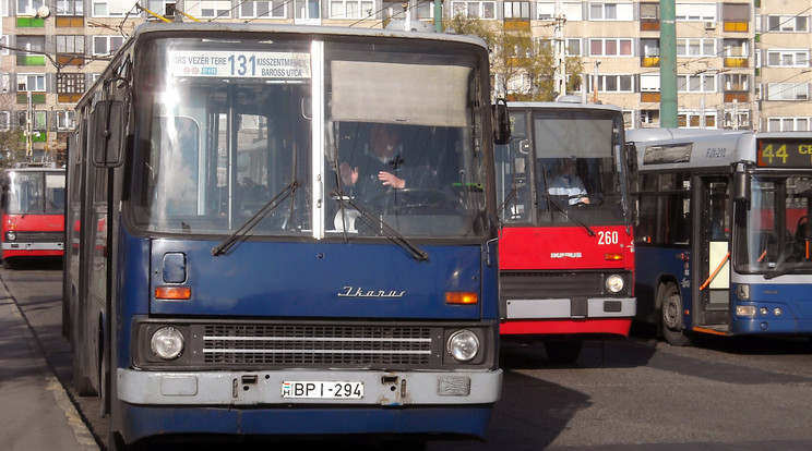 Az Ikarus 260-at szinte mindenki ismeri /Fotó: MTI - Jászai Csaba