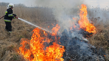Na rzecz OSP gaszących pożar w Biebrzańskim Parku Narodowym zebrano sporą kwotę