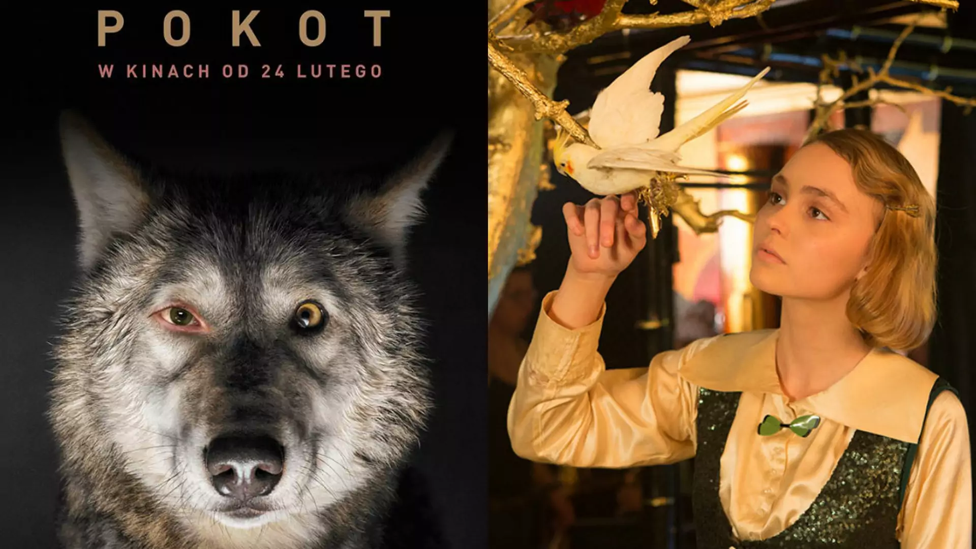 Lily-Rose Depp w roli głównej, "Pokot" i oscarowa pozycja – na to warto wybrać się do kina