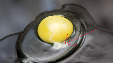 Czym jest ta biała maź na surowym jajku? Warto wiedzieć zawczasu