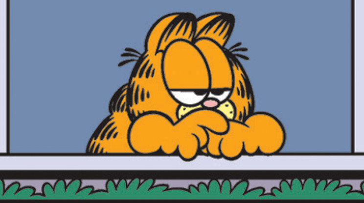 Garfield a környék borzalmain mélázik