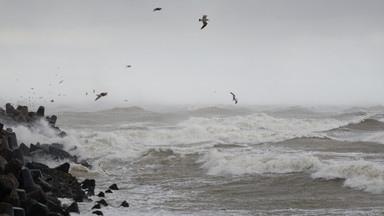 Największe w historii tsunami na Bałtyku. Wstrząsające relacje z ataku "niedźwiedzia morskiego"