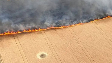 Rosjanie ostrzelali pola pszenicy. "Bezpieczeństwo żywnościowe świata płonie"