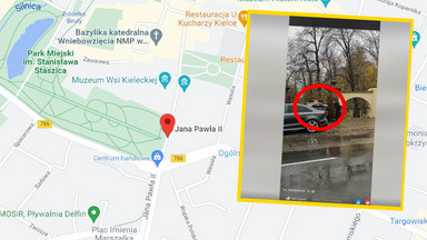 Wpadka polityka PiS. Zjechał po schodach, bo "GPS pokierował go w prawo"