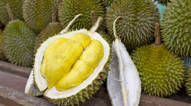 Durian gyümölcs / Illusztráció:  Northfoto