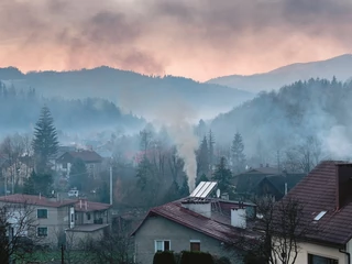 Smog w Polsce tworzy głównie dym pochodzący z domowych pieców spalających węgiel i drewno