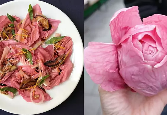 Różowa sałata to nowy trend na Instagramie. W sam raz na wiosnę!