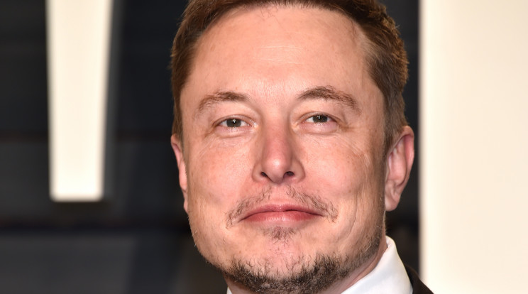Elon Musk vállalkozó tudja, hogy sokan őrültnek tartják az ötleteit, de eddig majdnem mind bejött neki, ezért
nyugodtan bizakodhat /Fotó: Getty Images