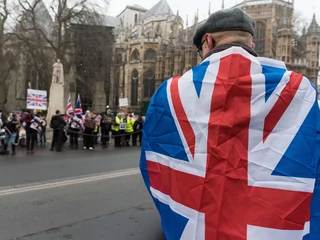 Brexit Protest in Westminister