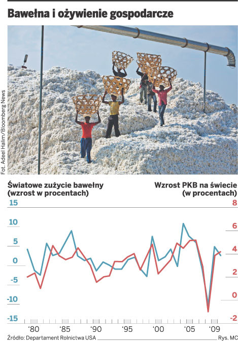 Bawełna i ożywienie gospodarcze