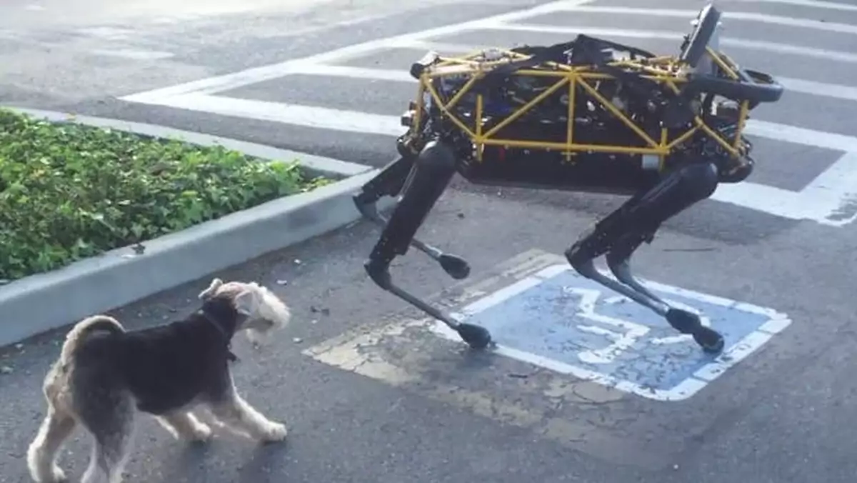 Pies Fido bawi się z robotem Google'a - Spotem (wideo)