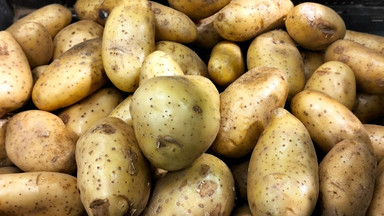 Czy można jeść ziemniaki z ciemnymi oczkami?