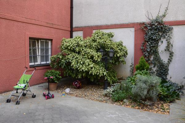 Slađa Deliba&scaron;ić