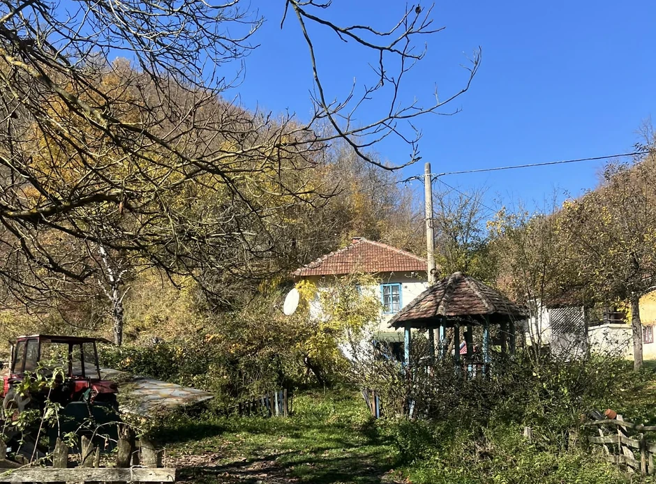 Selo Dulene u Šumadiji 