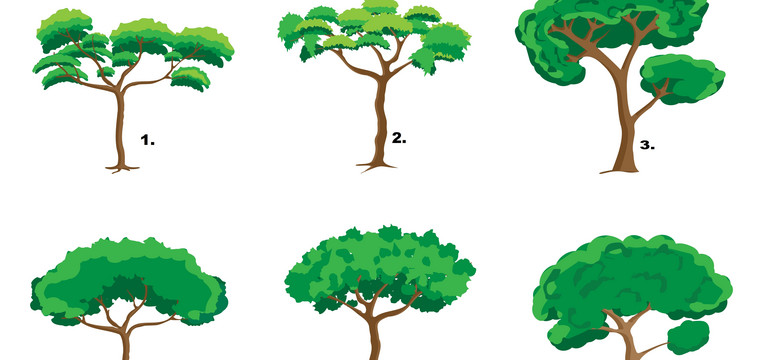 Wybierz jedno drzewo i poznaj ukryty aspekt swojej osobowości
