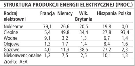 Struktura produkcji energii elektrycznej