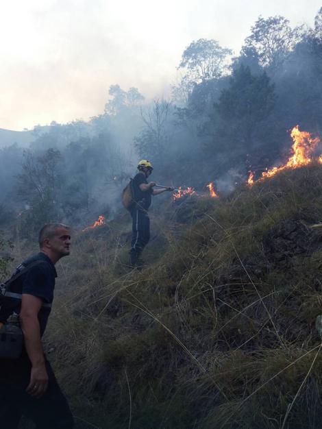 Vatrogasci se hrabro bore sa vatrom