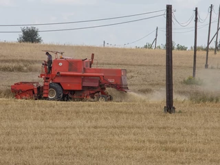 W Europie Środkowej i Wschodniej unijne dopłaty bezpośrednie są przejmowane przez oligarchów?