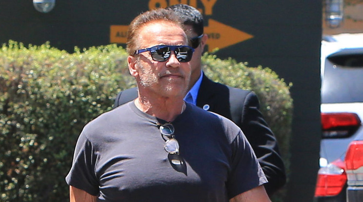 Arnold Schwarzenegger/Fotó: Northfoto