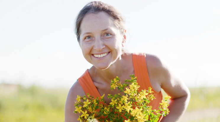 A frissítő kirándulások során megtudhatjuk, milyen fák, füvek, virágok segítenek megőrizni egészségünket /Fotó:Shutterstock