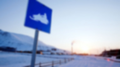 Polscy badacze jadą na Spitsbergen