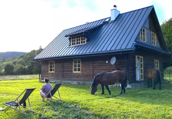 Kupili dom we wsi, gdzie wszystko jest z drewna. "Ściana przegniła"