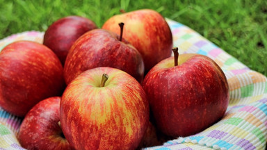 Jabłka: kiedy leczą, kiedy szkodzą - tłumaczy dietetyk